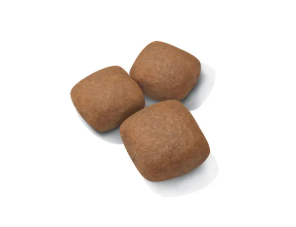 Junior Giant Royal Canin