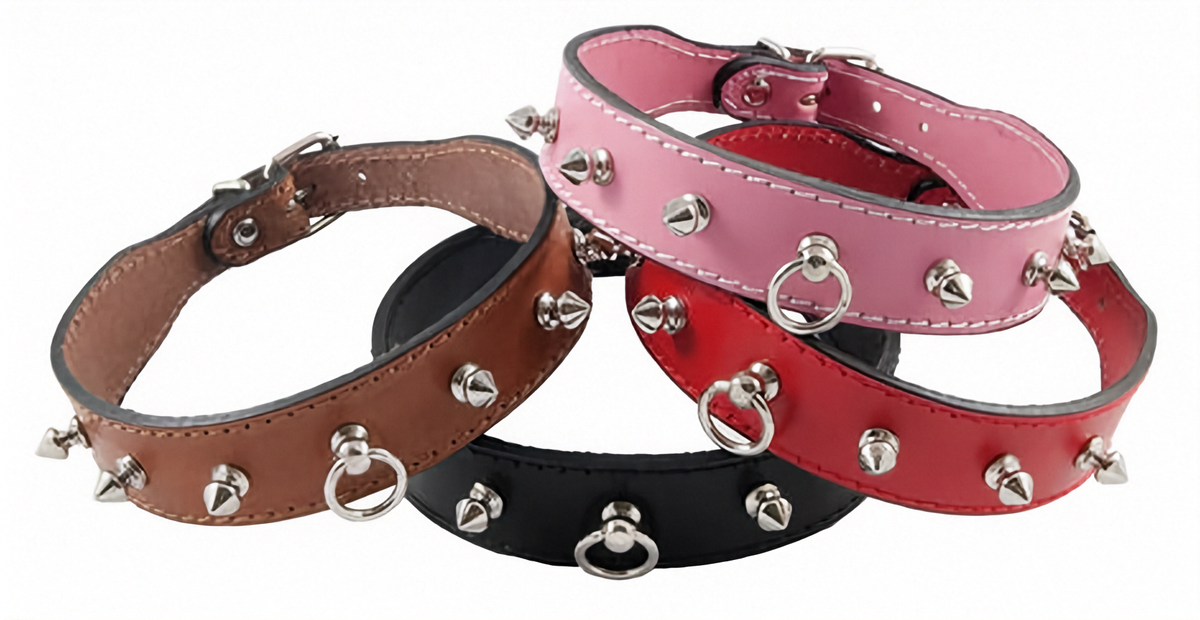 Collare sagomato con borchie AGRIAPPIA, in pelle nera con borchie metalliche, dettaglio di chiusura e fibbia robusta.