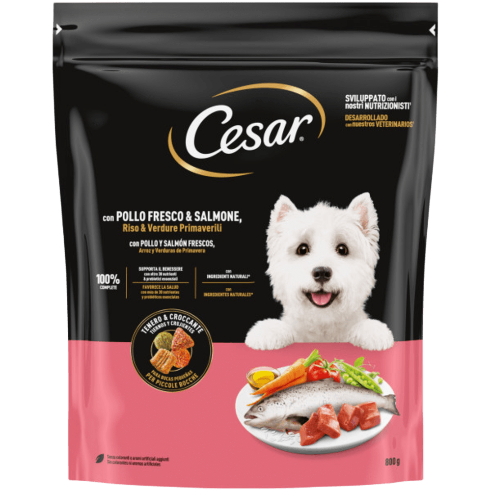 Cibo umido per cani Cesar con pollo, salmone e verdure, prodotto AGRIAPPIA, in scatola con etichetta colorata