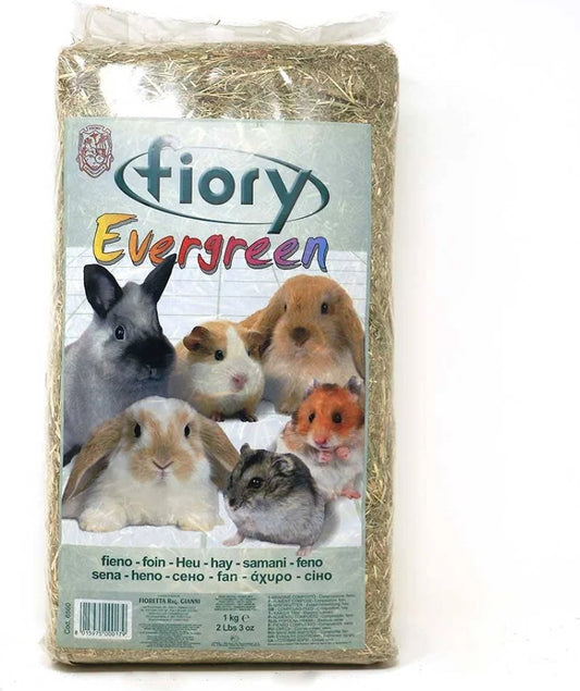 Fieno evergreen 1Kg