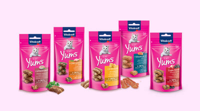 CAT YUMS