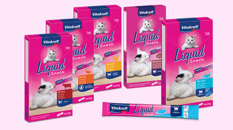 Liquid Snack