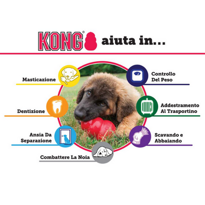 Kong Extreme