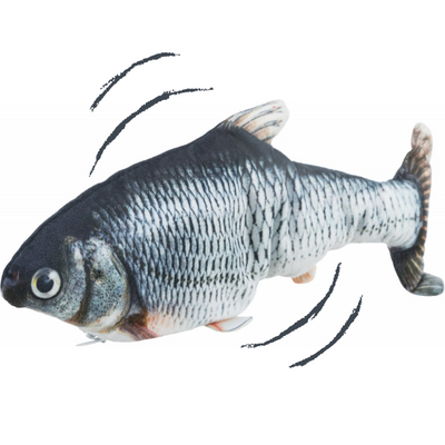 Gioco interattivo Pesce Guizzante