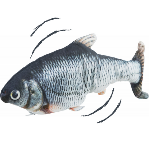 Gioco interattivo Pesce Guizzante