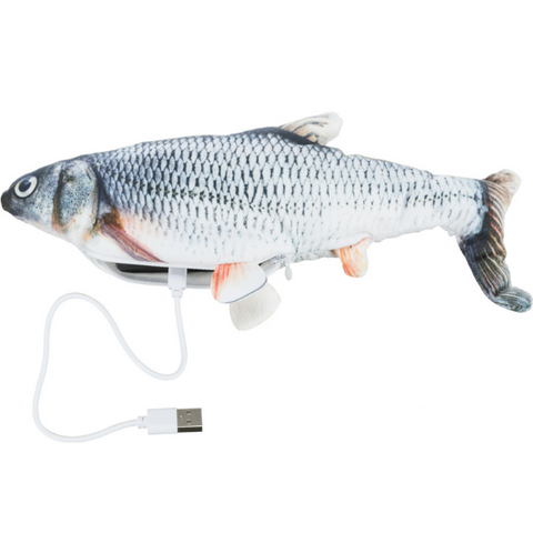 Gioco interattivo Pesce Guizzante