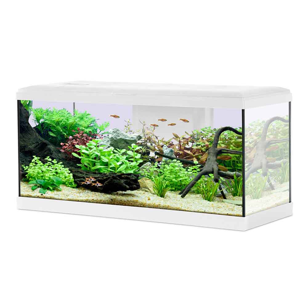 Acquario Zolux Tana 80 Completo Bianco – 84 L con Filtro, LED e Riscaldatore