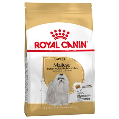 Crocchette adulte per cani Maltese Royal Canin, alimenti di alta qualità per cani adulti di taglia grande AGRIAPPIA.