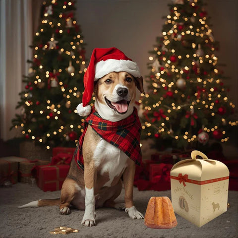 🎄 PANDORO (PER CANI)