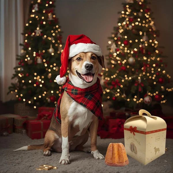 🎄 PANDORO (PER CANI)