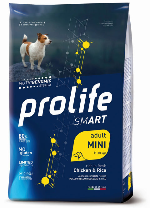 Prolife SMART cane