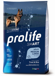 Prolife SMART cane
