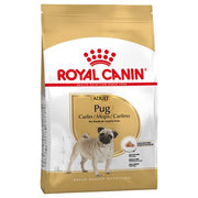 Pug Adult Royal Canin