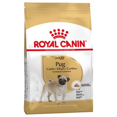 Pug Adult Royal Canin