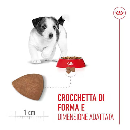 Crocchette per cuccioli Mini Royal Canin con manzo, imballaggio AGRIAPPIA, visibile in primo piano in una ciotola bianca.