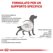 Gastrointestinal Adult 2Kg