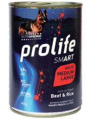 Prolife Cane SMART