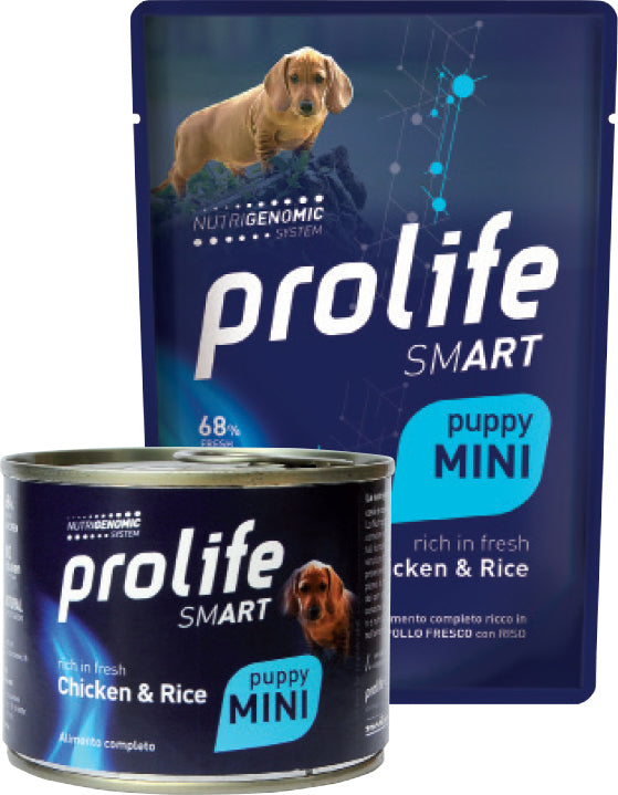 Cane intelligente Prolife Cane SMART di AGRIAPPIA con design moderno, adatto per la gestione e il controllo degli animali domestici.