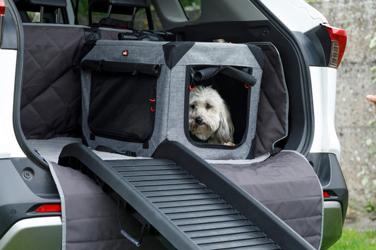 Zolux NOMAD Gabbia da Trasporto per Cani e Gatti