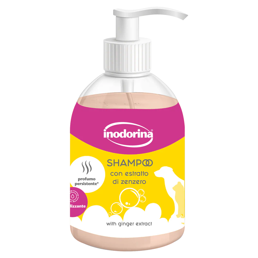 Shampoo rivitalizzante AGRIAPPIA con estratto di zenzero, flacone da 300ml, mostra la bottiglia con etichetta e dettagli del prodotto.